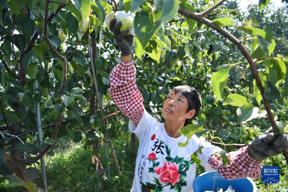 金沙菜市场